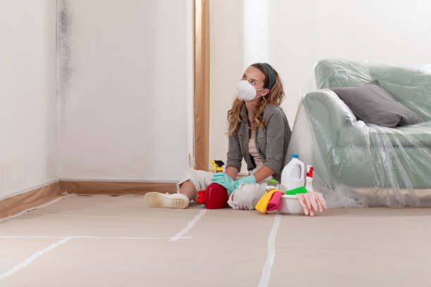 Reliable Commercial Mold Remediation contractor in Allport, PA by WQB Mold Removal